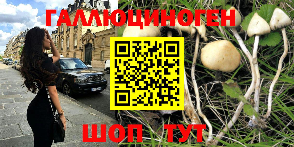 Галлюциногенные грибы Psilocybine cubensis Приморско-Ахтарск