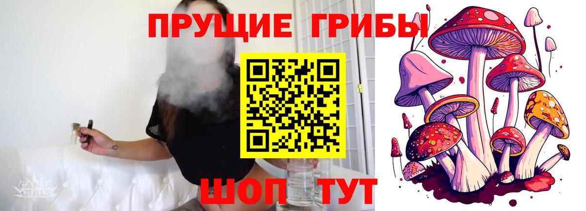 дарнет шоп  Галлюциногенные грибы мицелий  Вход с VPN  Приморско-Ахтарск 